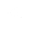 Custom AI Solution Development